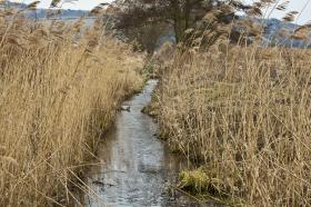 Bachlauf bei Heringen