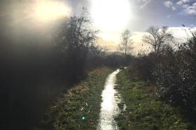 Weg an der Werra in grellem Licht